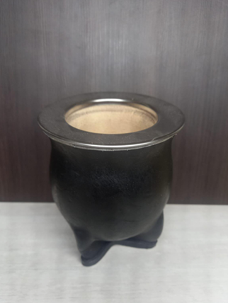 Mate Camionero