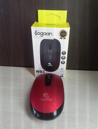 Mouse